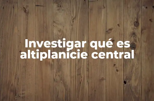 Investigar Qué es Altiplanicie Central