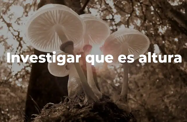 Investigar que es Altura