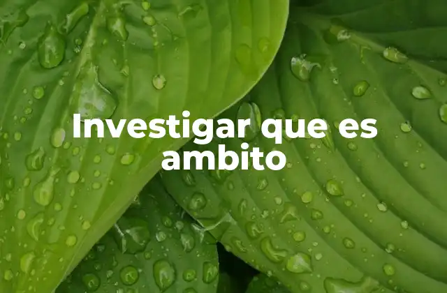 Investigar que es Ambito