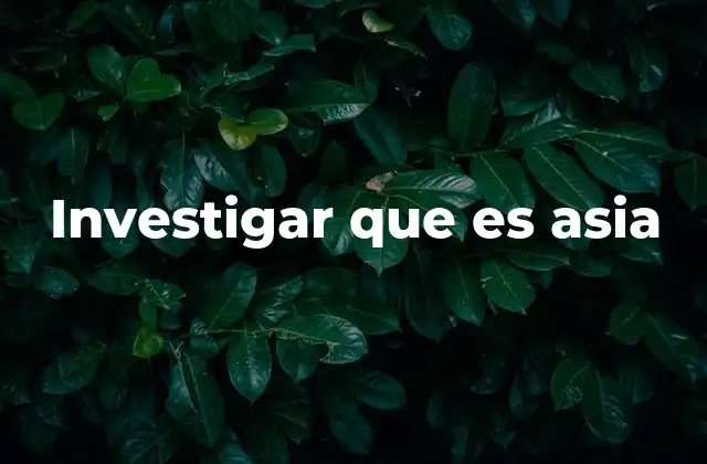 Investigar que es Asia