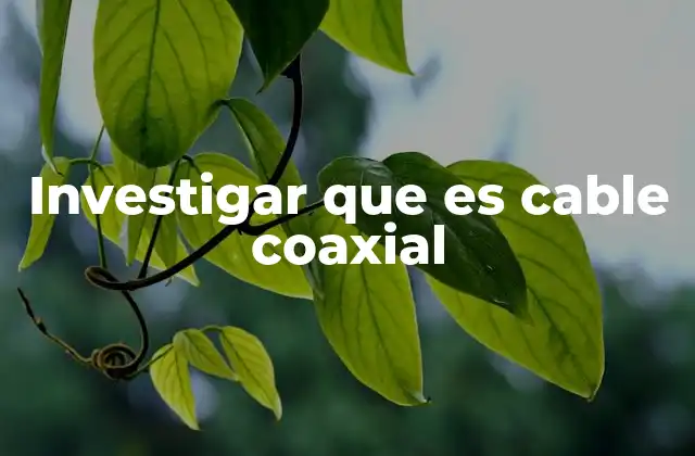 Investigar que es Cable Coaxial