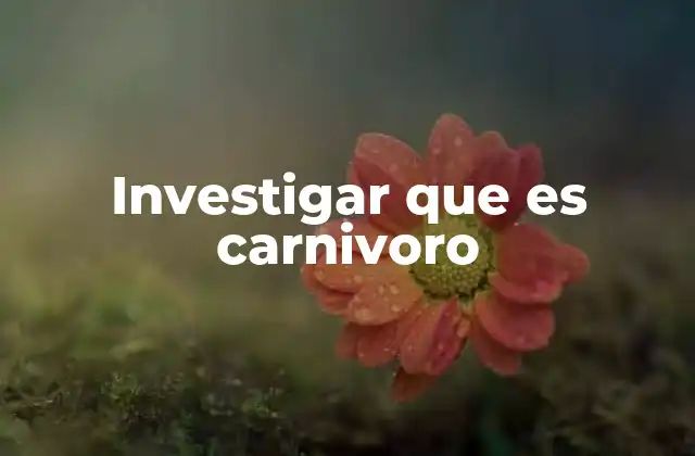 Investigar que es Carnivoro