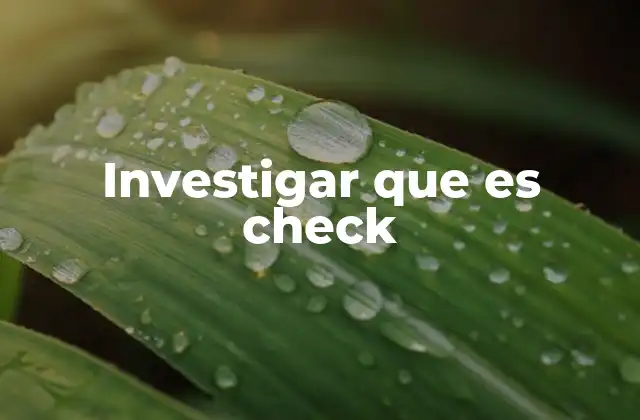 Investigar que es Check