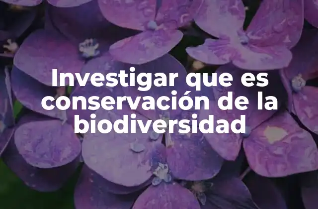 La importancia de la biodiversidad para la estabilidad ecológica