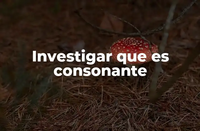 Investigar que es Consonante 2 La importancia de las consonantes en la formación de palabras