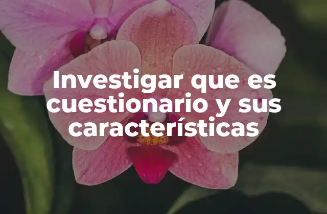 Investigar que es Cuestionario y Sus Características