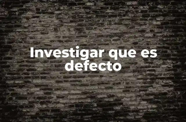 Investigar que es Defecto