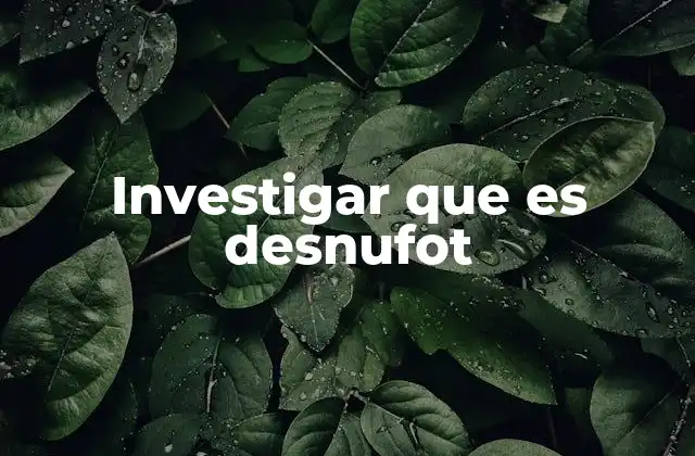 Investigar que es Desnufot