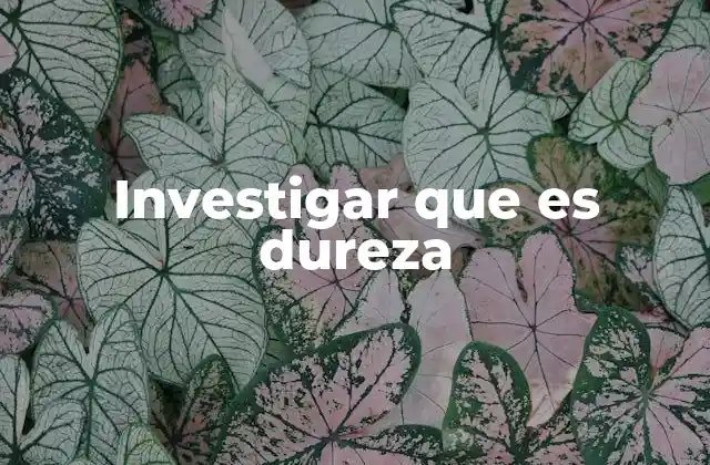Investigar que es Dureza