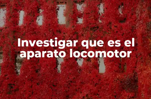 Investigar que es el Aparato Locomotor