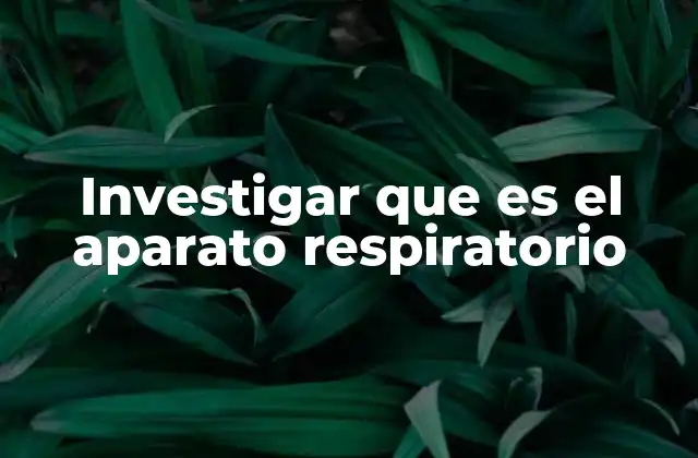 Investigar que es el Aparato Respiratorio
