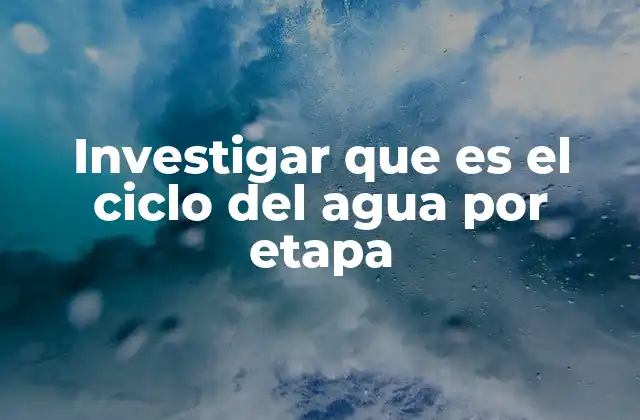 Investigar que es el Ciclo Del Agua por Etapa