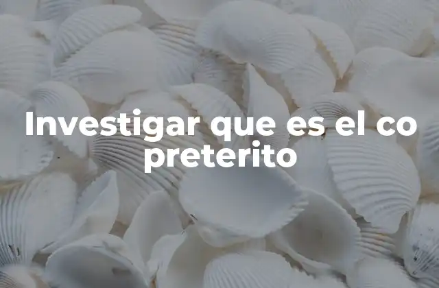 Investigar que es el Co Preterito