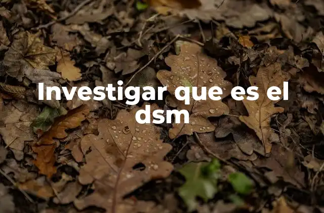 Investigar que es el Dsm
