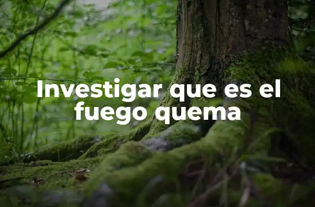El fuego como fenómeno natural y su impacto en la ecología