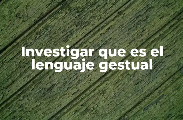 Investigar que es el Lenguaje Gestual