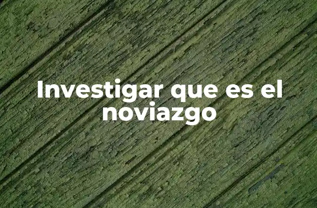 Investigar que es el Noviazgo
