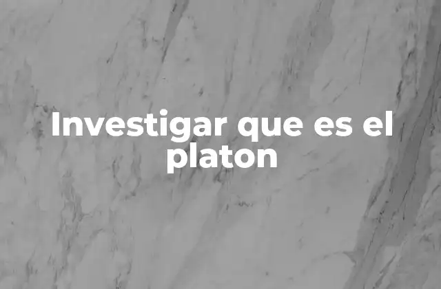 Investigar que es el Platon