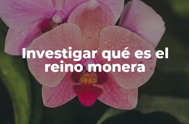 Investigar Qué es el Reino Monera