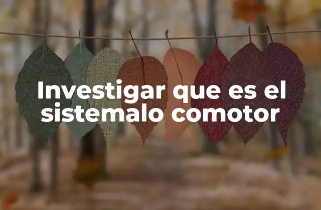 Investigar que es el Sistemalo Comotor