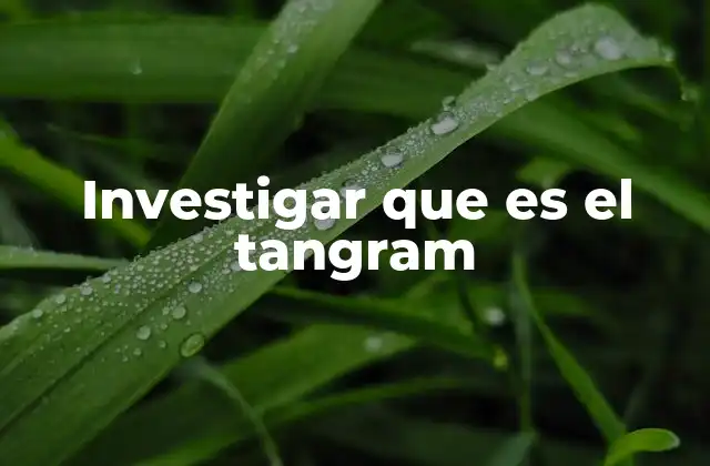 Investigar que es el Tangram