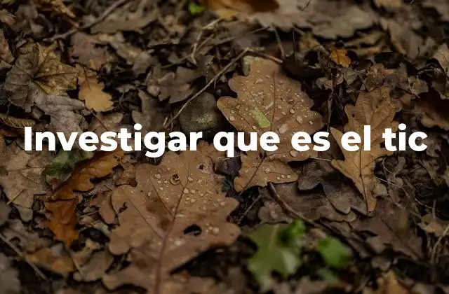 Investigar que es el Tic