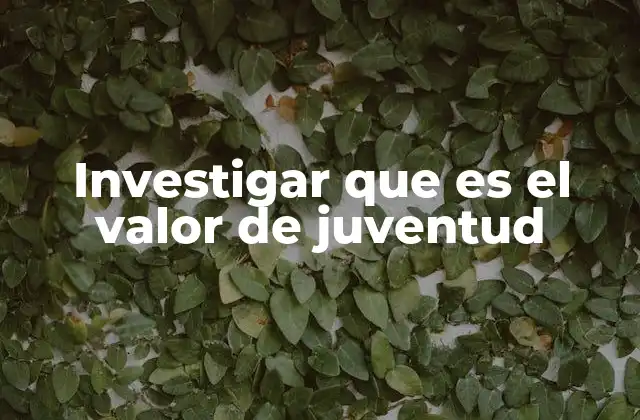 Investigar que es el Valor de Juventud