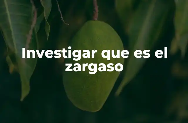 Investigar que es el Zargaso
