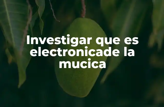 Investigar que es Electronicade la Mucica