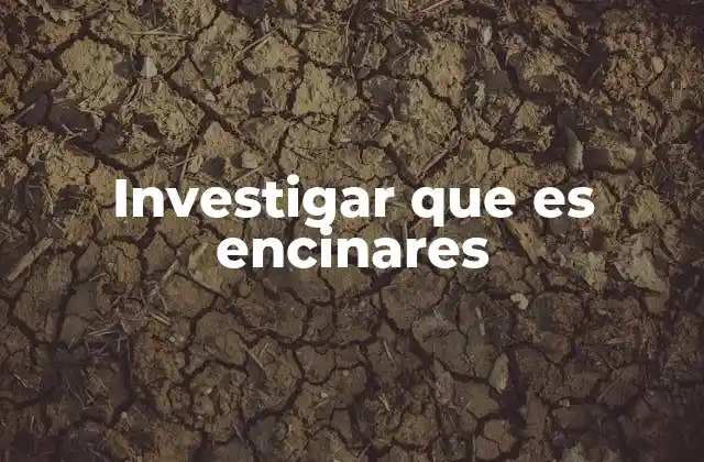 Investigar que es Encinares