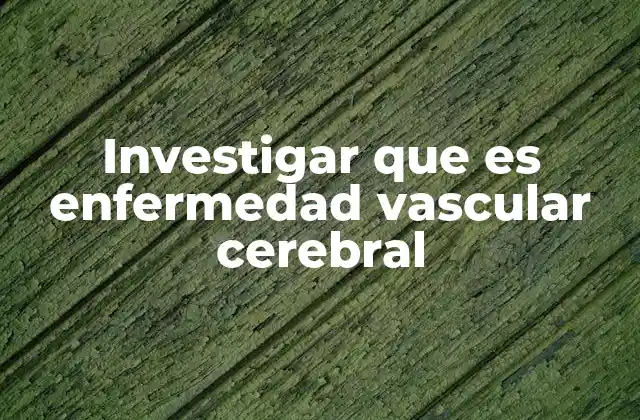 Investigar que es Enfermedad Vascular Cerebral 2 Causas y factores de riesgo detrás de los trastornos vasculares cerebrales