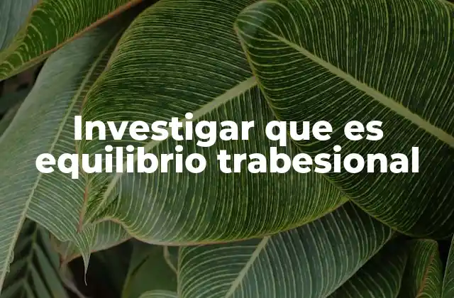 Investigar que es Equilibrio Trabesional