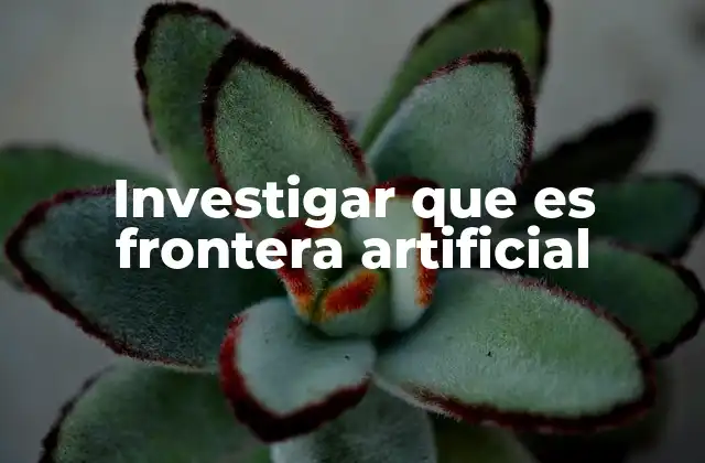 Investigar que es Frontera Artificial