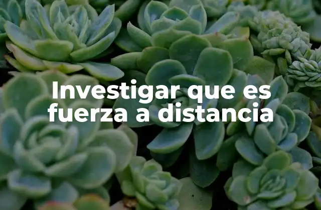 Investigar que es Fuerza a Distancia