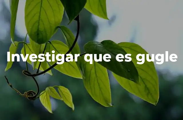 Investigar que es Gugle