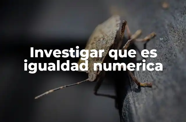 Investigar que es Igualdad Numerica