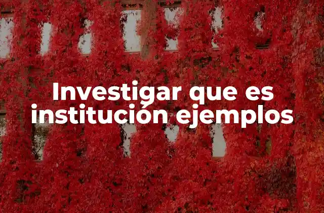 Investigar que es Institución Ejemplos