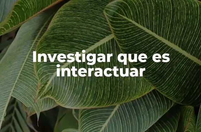 Investigar que es Interactuar