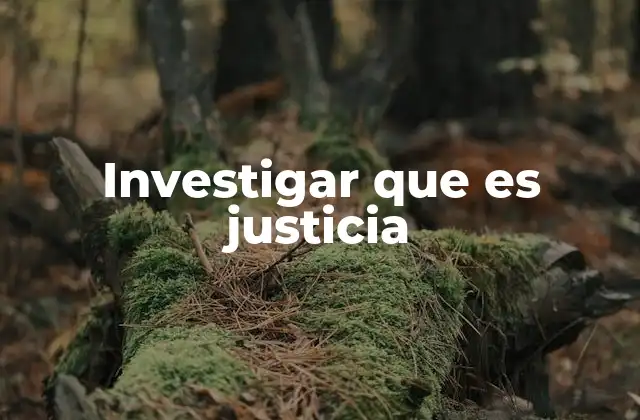 Investigar que es Justicia