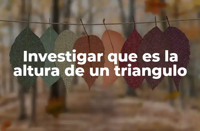 Investigar que es la Altura de un Triangulo