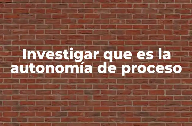 Investigar que es la Autonomía de Proceso 2 Autonomía de proceso y su relevancia en la toma de decisiones