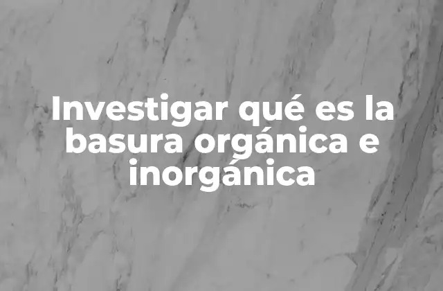 Investigar Qué es la Basura Orgánica e Inorgánica