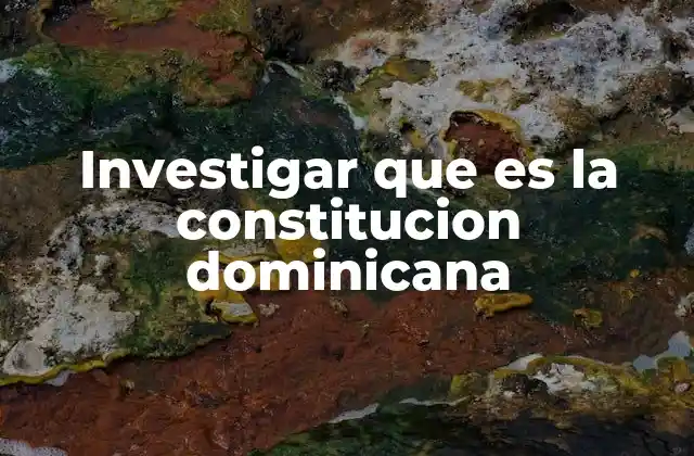 Investigar que es la Constitucion Dominicana