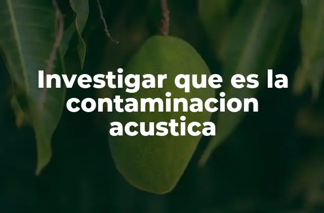 Investigar que es la Contaminacion Acustica