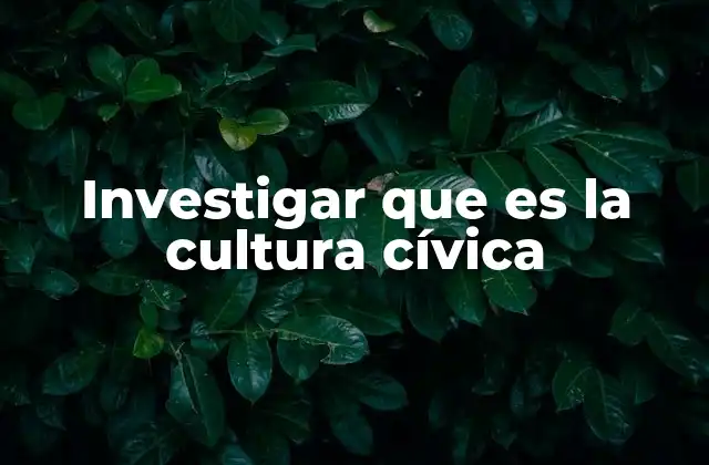 Investigar que es la Cultura Cívica