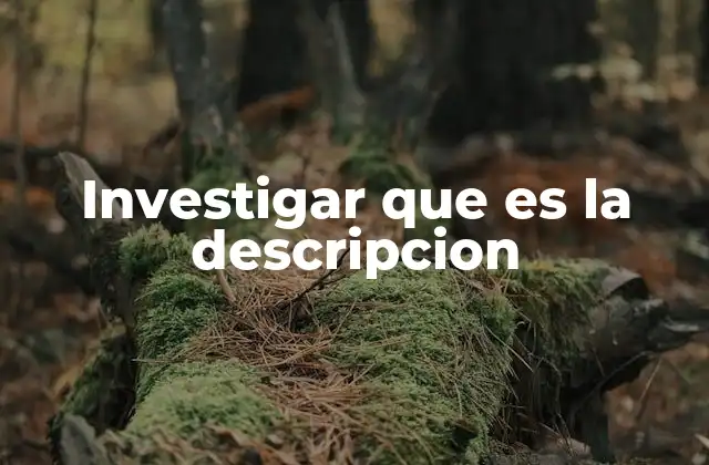 Investigar que es la Descripcion