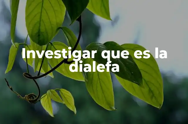 Investigar que es la Dialefa