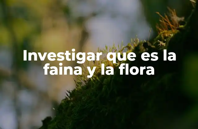 Investigar que es la Faina y la Flora