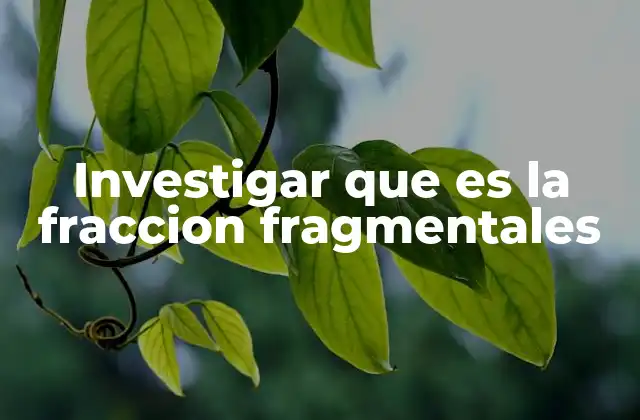Investigar que es la Fraccion Fragmentales 2 Aplicaciones de conceptos similares a fracción fragmentales en diferentes disciplinas