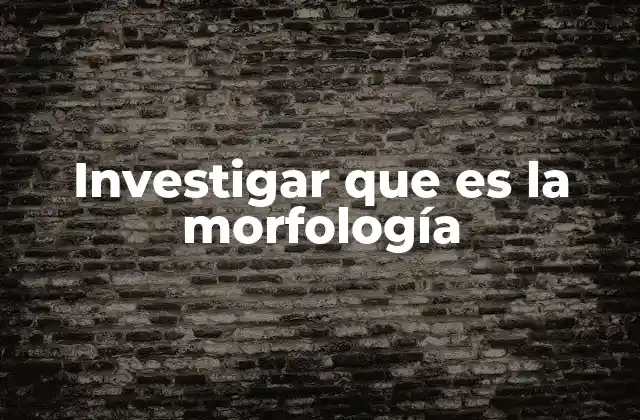Investigar que es la Morfología
